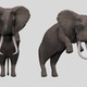 Elephant Attack Pack V1 (Pack of 4) - VideoHive Item for Sale