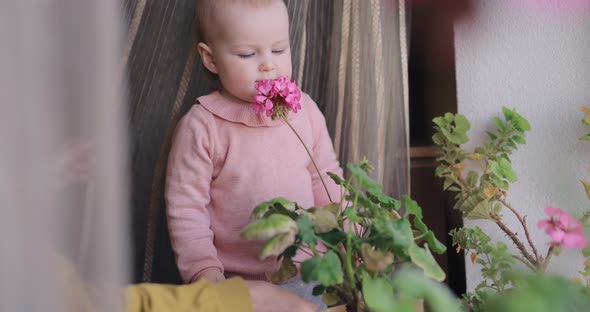 Little Girl Sniff a Pink Flower