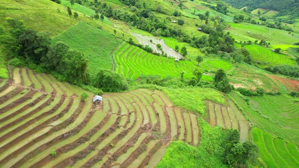 Drone flying over green rice terraces field in countryside