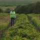 Farm Specialist Engineer Tells By Phone About Successes in the Work for Agriculture Productivity - VideoHive Item for Sale