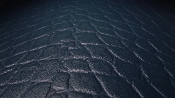 Real Leather Texture Very Close Up