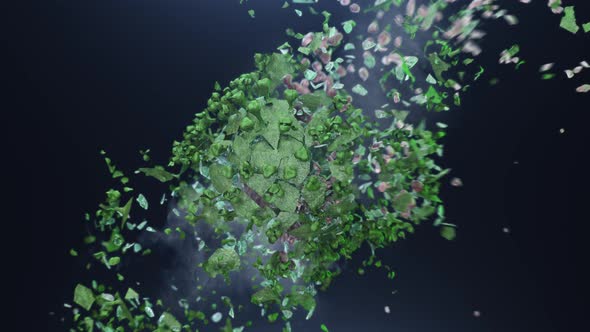 Explosion on the Fragments of Green Coronavirus