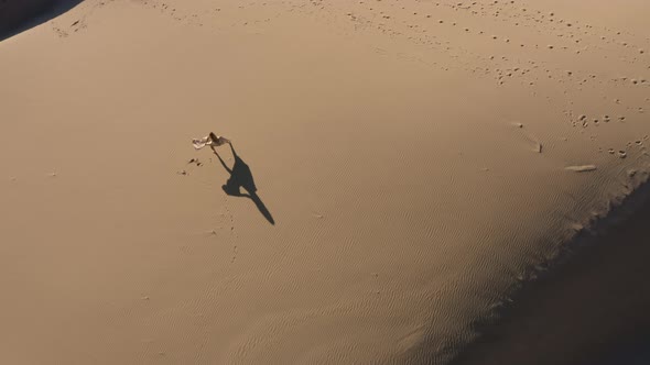 Drone Of Blond Woman Dancing On Beach