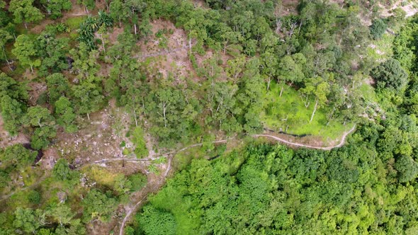 Aerial view rural road in durian trees