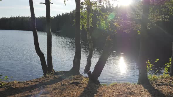 Sun Setting on the Lake Nature Reserve in Halkolampi in Finland