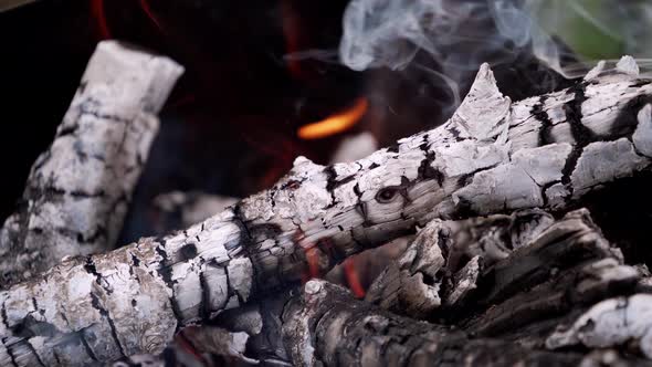 Glowing logs with smoke in fire