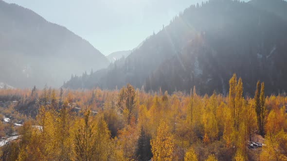 Aerial View of Mountain Landscape of Autumn Forest on the River