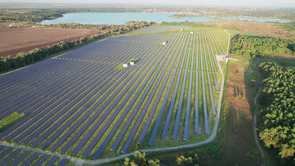 Aerial View of Solar Farm on the Green Field at Sunset Time Solar Panels in Row