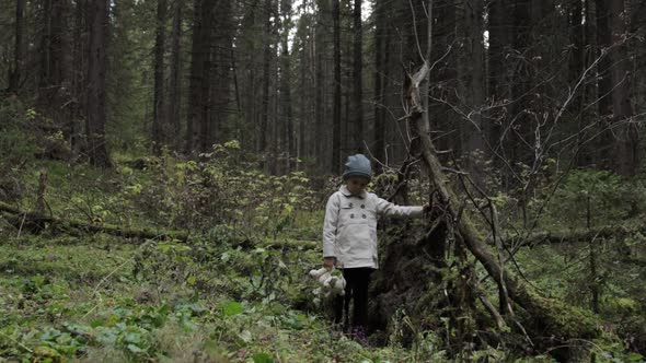 Little girl with teddy bear alone in a forest