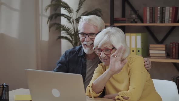 Seniors Couple Using a Computer Chatting Via Webcam and Waving Hands