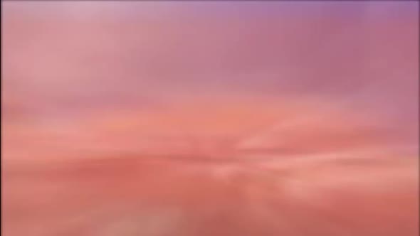 Skeletal System with muscles transparent animation alt