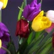 Tulip Flowers in Vase - VideoHive Item for Sale
