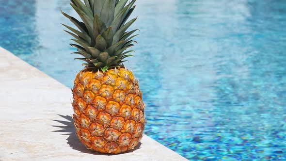 Pineapple Near Swimming Pool at Poolside