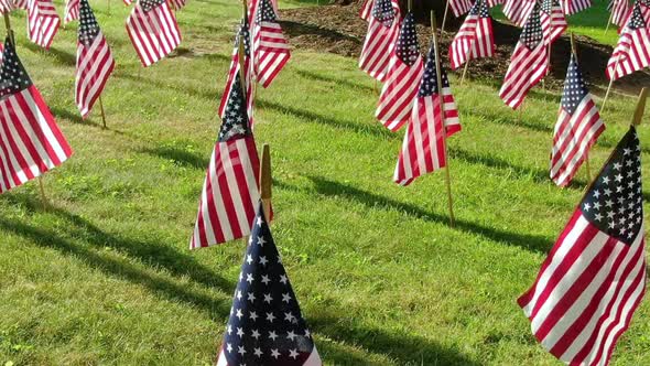 Set of American flags on the field with green grass fluttering on the wind. Memorial Day, Veterans d