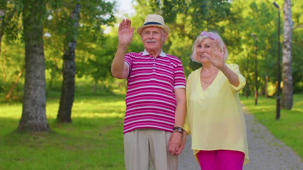 Senior Stylish Couple Grandmother Grandfather Smiling Friendly Waving Hands Gesturing Hello Goodbye