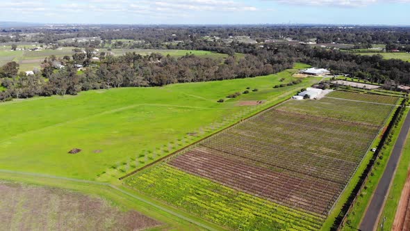 Aerial View of a Plantation in Australia