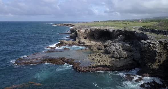 Nature Landscapes Of Barbados