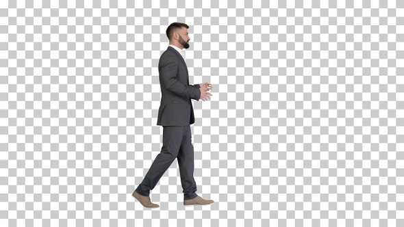 Bearded businessman walking and explaining something, Alpha Channel