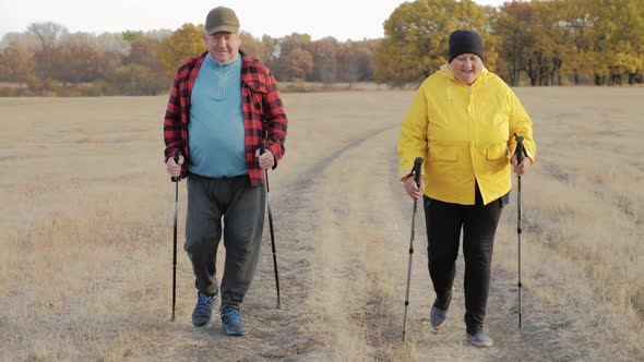 Mature Couple Nordic Walking on Pathway in the Meadow