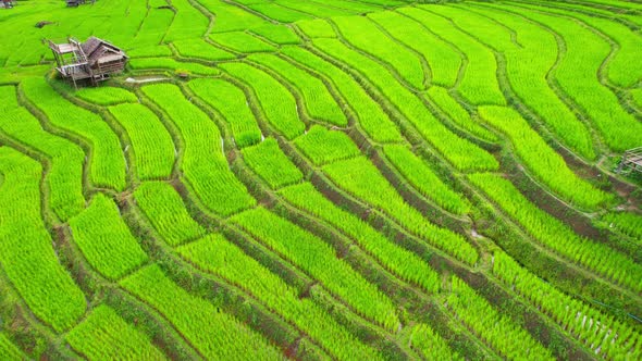 Drone flying over green rice terraces field in countryside