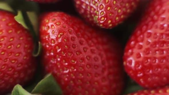 Macro CloseUp of Delicious Summer Strawberry Harvest