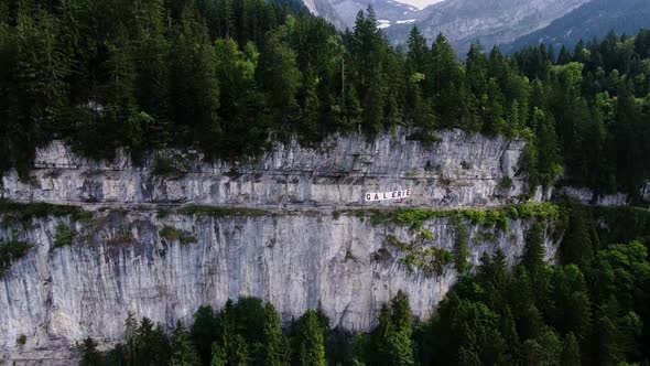 Flight next to the cliff over fir trees