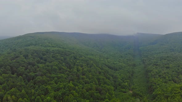 Mountain Landscape with Fores Fog Pocono Pennsylvania USA