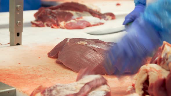 Butcher Cutting Beef By the Conveyor Belt