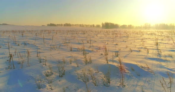 Aerial Drone View of Cold Winter Landscape with Arctic Field, Trees Covered with Frost Snow and