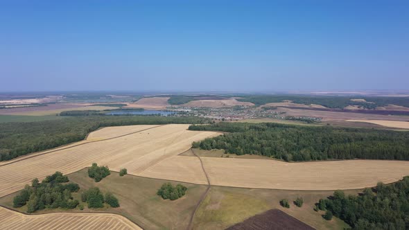 The Road Leading to the Village Surrounded By Postharvest Wheat and Green Forests