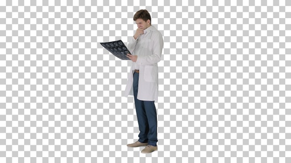 Frustrated male doctor examining computed, Alpha Channel