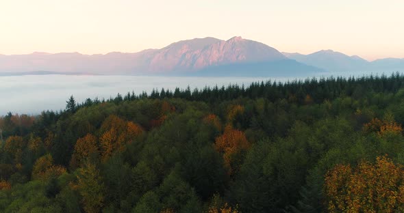 Aerial Arc Shot Drone View Above Forest Woodlands In Snoqualmie Valley North Bend Washington