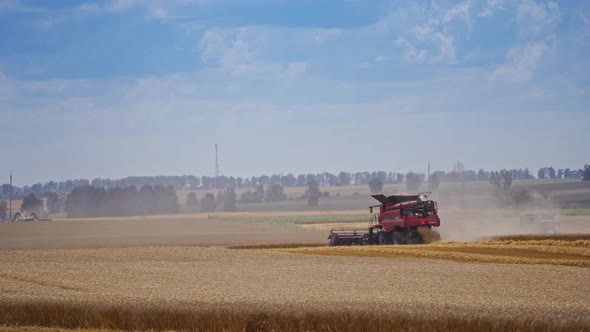 Modern combine harvesting grain. Grain harvester combine work in wheat field