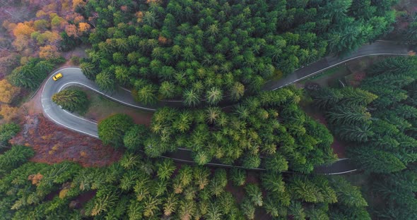 Overhead Aerial Top View Over Car Travelling on Hairpin Bend Turn Road in Countryside Autumn Forest