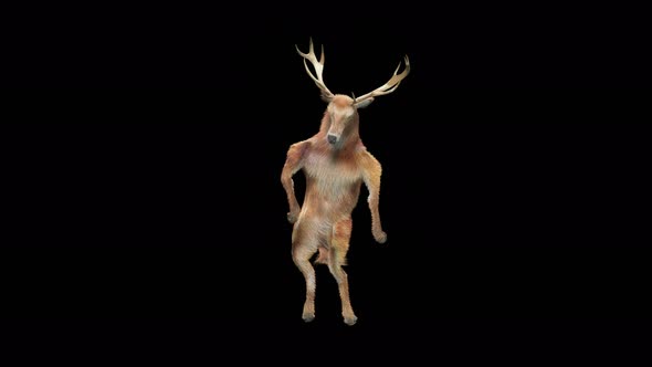 30 Deer Dancing 4K