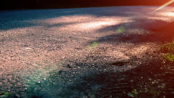 Sport Man Running at Asphalt Road. Rural City Park. Green Tree Forest and Sun Rays on Horizon.