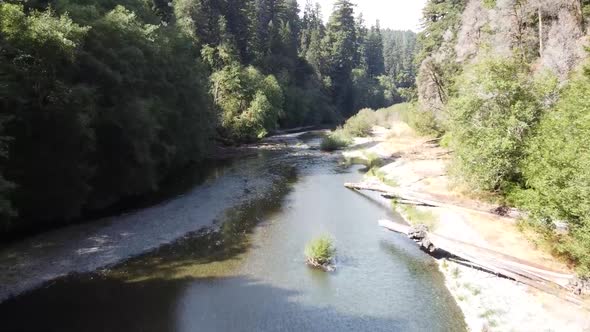 Drone Flying Down A River In a Forest