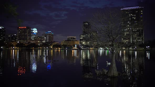 Buildings seen from Lake Eola at night