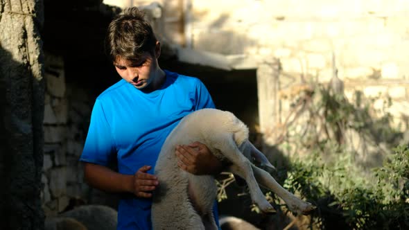 Shepherd Looking After Lamb