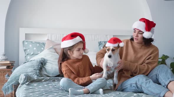 Happy Woman in Santa Hat with Girl Daughter and Smiling Jack Russell Terrier Dog Sit on Beautiful