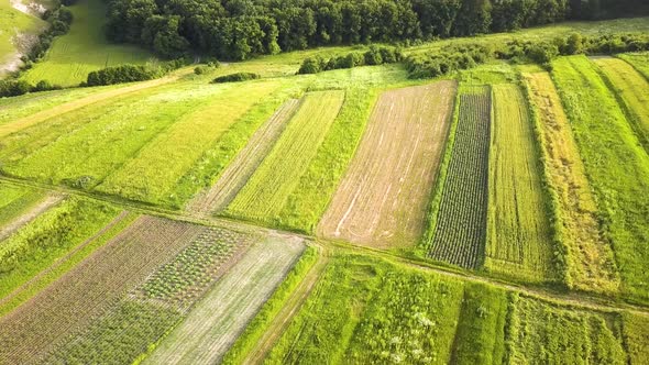 Aerial View of Green Agriculture Fields in Spring with Fresh Vegetation After Seeding Season