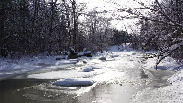 stream in winter forest scene with risky low flight under branches