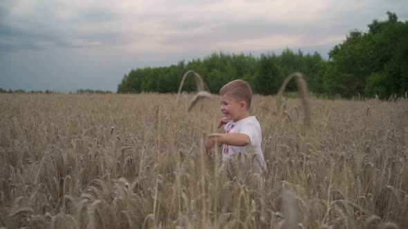 3 Year Caucasian Boy Running On Golden Wheat Field Slow Motion