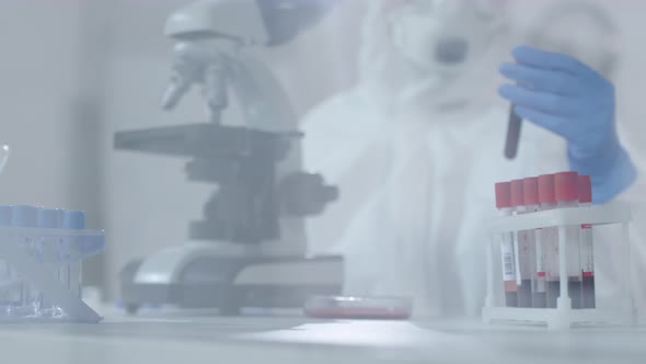 Unrecognizable Medical Scientist Working in Laboratory alt