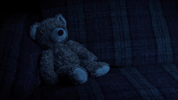 Passing Teddy Bear On Sofa In The Dark