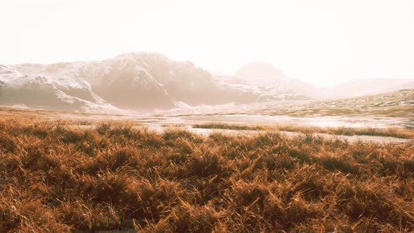 Yellow Dry Grass on the Mountain in Autumn