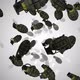 Grenade 01 Hd  - VideoHive Item for Sale