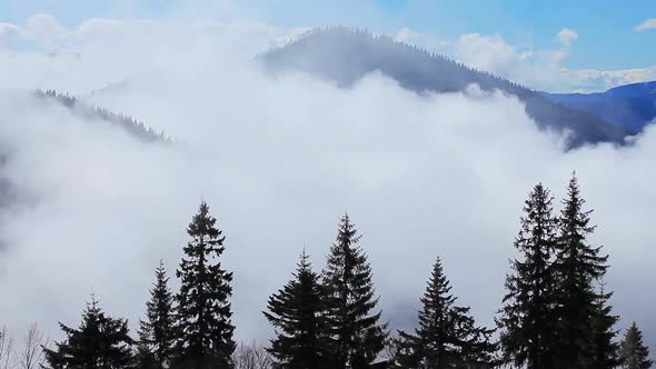 Sunny Clouds in Windy Heaven