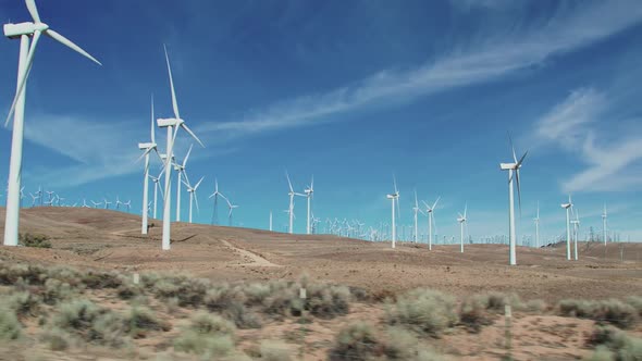 Large Wind Farm In California