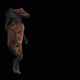 63 Horse Dancing HD - VideoHive Item for Sale
